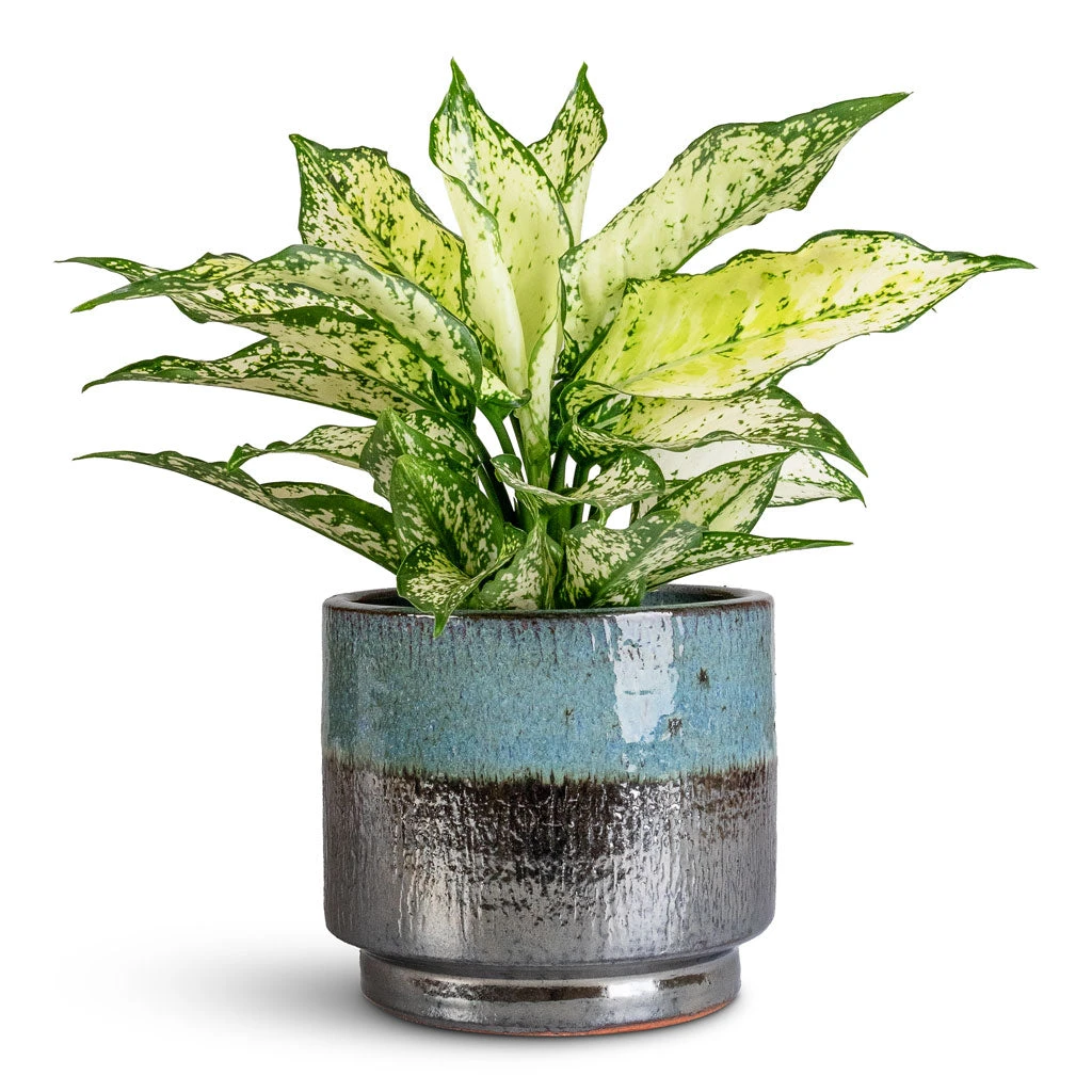 Vita Plant Pot - Lead Drip 8 Vita Plant Pot - Lead Drip - Image 6