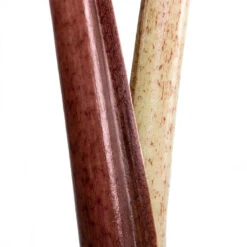 Alocasia Yucatan Princess - Elephant Ear 21 Alocasia Yucatan Princess - Elephant Ear -Hortology Plants Shop Alocasia Yucatan Princess Elephant Ear Close Up 002