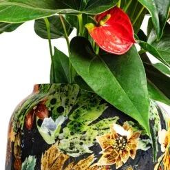 Lammie Planter - Berry Blue 23 Lammie Planter - Berry Blue -Hortology Plants Shop Anthurium Flamingo Flower Royal Red Lammie Planter Berry Blue DETAIL 1