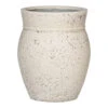 Apollo Mediterranean Planter - Chalk White -Hortology Plants Shop Apollo Mediterranean Planter Chalk White 38.5x47cm