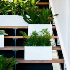 Balcony Essentials Planter - Matt White 11 Balcony Essentials Planter - Matt White -Hortology Plants Shop Balcony Planter Matt White Houseplants
