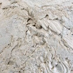 Algar Couple Planter - White 27 Algar Couple Planter - White -Hortology Plants Shop Baq Algar white Rim