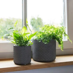 Bernt Plant Pot - Shiny Black 11 Bernt Plant Pot - Shiny Black -Hortology Plants Shop Bernt shiny black 01