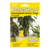 BetterGrow Houseplant Insect Traps