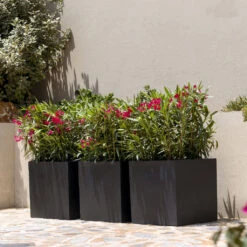 Block Natural Planter - Black -Hortology Plants Shop BlockNaturalPlanter Black 2