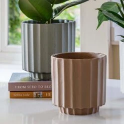 Bourton Scalloped Plant Pot - Clay -Hortology Plants Shop Bourton Scalloped Plant Pot Clay 16 x 16cm
