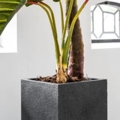 Bouvy Granite Planter - Midnight Black 8 Bouvy Granite Planter - Midnight Black -Hortology Plants Shop Bouvy Granite Planter Midnight Black Lifestyle 2