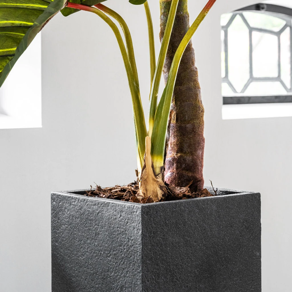 Bouvy Granite Planter - Midnight Black 5 Bouvy Granite Planter - Midnight Black - Image 3