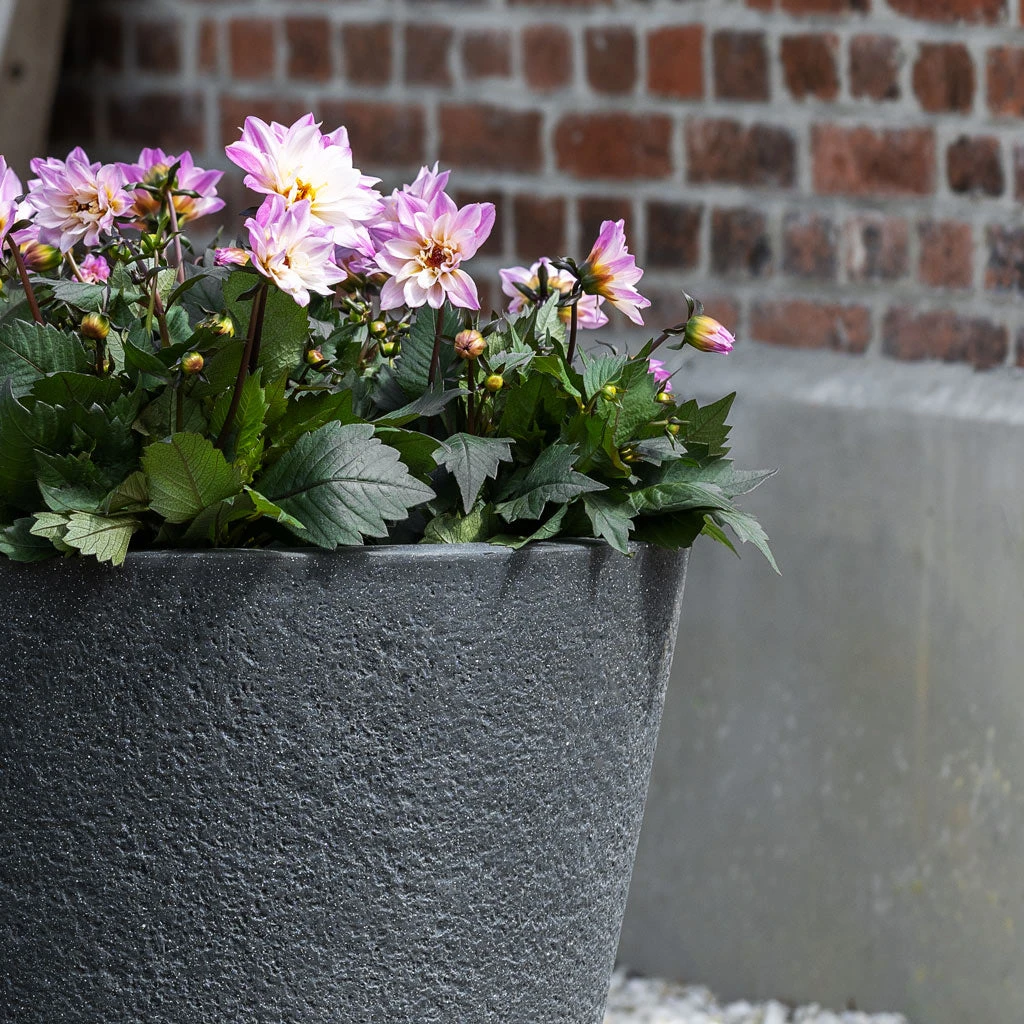 Bucket Granite Planter - Midnight Black 5 Bucket Granite Planter - Midnight Black - Image 3