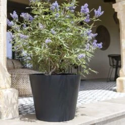 Bucket Natural Planter - Black -Hortology Plants Shop Bucket Natural Planter Black 2
