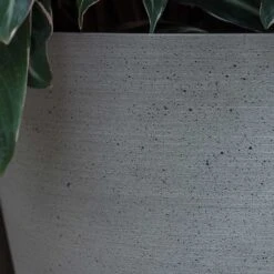 Bucket Refined Planter - Clouded Grey 11 Bucket Refined Planter - Clouded Grey -Hortology Plants Shop Bucket Refined Planter Clouded Grey Textured Sandstone