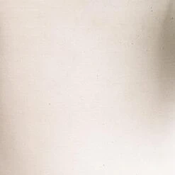 Bucket Refined Planter - Natural White 9 Bucket Refined Planter - Natural White -Hortology Plants Shop Bucket Refined Planter Natural White 50x40cm 325b3a36 81df 45a2 b88a 8bfa059f1f28