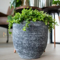 Cas Plant Pot - Anthracite 26 Cas Plant Pot - Anthracite -Hortology Plants Shop CasPlantPot Anthracite 4
