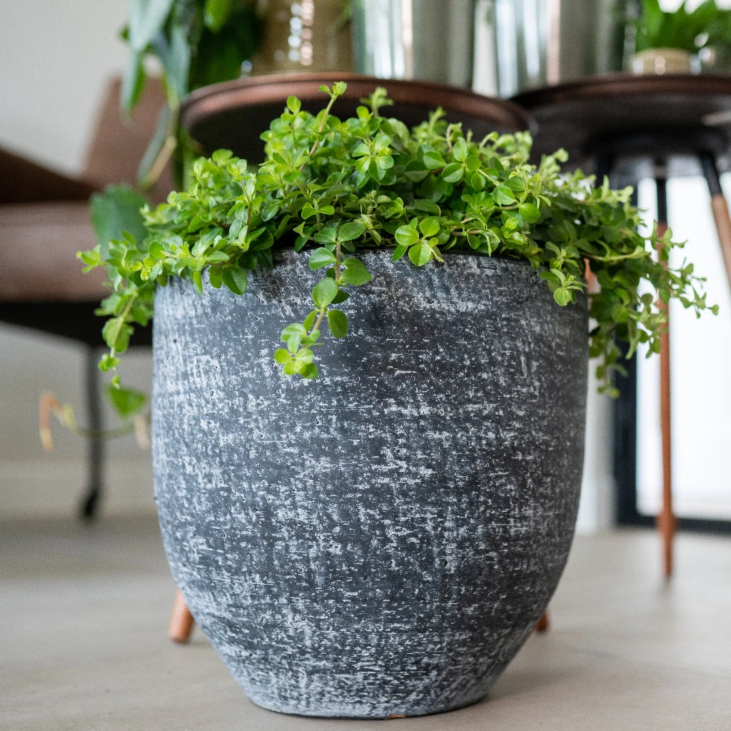 Cas Plant Pot - Anthracite 7 Cas Plant Pot - Anthracite - Image 5