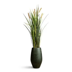 Noor Plant Vase - Velvet Green 21 Noor Plant Vase - Velvet Green -Hortology Plants Shop Cattails Grass Artificial 100cm 8 stems Noor Vase Velvet Green 23x36cm