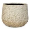 Celeste Plant Pot - Cream -Hortology Plants Shop Celeste Pot Cream 21x17cm