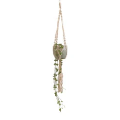 Macrame Hanging Plant Pot -Hortology Plants Shop Ceropegia woodii String of Hearts 10x20cm Macrame Hanging Plant Pot 12x10cm 2 5060628a 2d2e 4eae 852d 2589e83c0a60