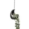 Ceropegia Woodii - String Of Hearts -Hortology Plants Shop Ceropegia woodii String of Hearts 14x30cm Gradient Hanging Cocoon Matt Grey 20x24cm 2