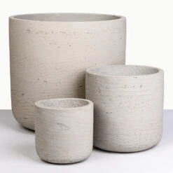 Charlie Plant Pot - Grey Washed -Hortology Plants Shop Charlie Grey Washed Studio 2