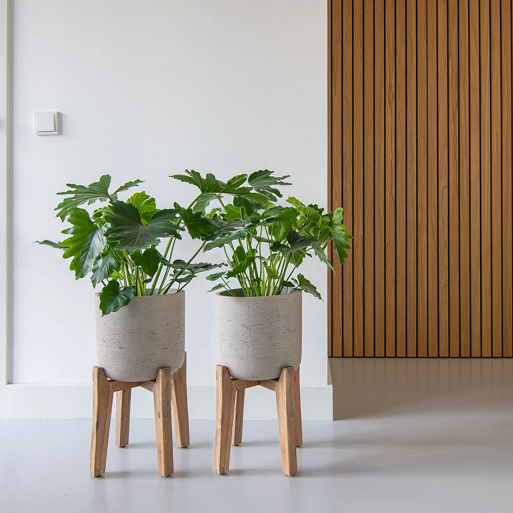 Charlie Plant Pot - Tall Stand - Grey Washed 4 Charlie Plant Pot - Tall Stand - Grey Washed - Image 2