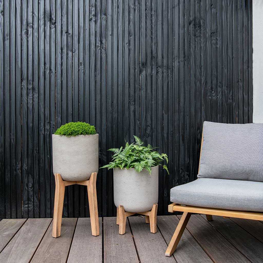 Charlie Plant Pot - Tall Stand - Grey Washed 6 Charlie Plant Pot - Tall Stand - Grey Washed - Image 4