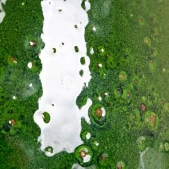 Charlotte Plant Pot - Green 27 Charlotte Plant Pot - Green -Hortology Plants Shop Charlotte Green speckles 3