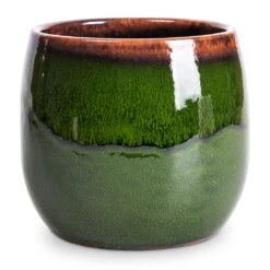 Charlotte Plant Pot - Green 29 Charlotte Plant Pot - Green -Hortology Plants Shop Charlotte Plant Pot Green 15x13cm