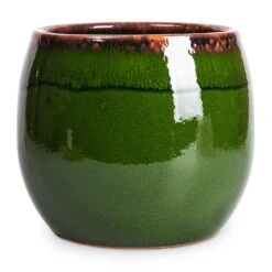 Charlotte Plant Pot - Green 34 Charlotte Plant Pot - Green -Hortology Plants Shop Charlotte Plant Pot Green 19x16cm