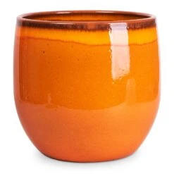 Charlotte Plant Pot - Orange 30 Charlotte Plant Pot - Orange -Hortology Plants Shop Charlotte Plant Pot Orange 29x25cm