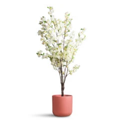 Lisbon Plant Pot - Blush Rose 15 Lisbon Plant Pot - Blush Rose -Hortology Plants Shop Cherry Blossom Tree White Artificial 135cm Lisbon Pot Blush Rose 26x26cm