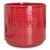 Chevron Plant Pot - Ruby 2 Chevron Plant Pot - Ruby -Hortology Plants Shop Chevron Pot Ruby 19x17cm