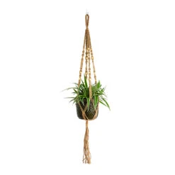 Plant Pot Macrame Hanger - Natural With Beads 7 Plant Pot Macrame Hanger - Natural With Beads -Hortology Plants Shop Chlorophytum Ocean Spider Plant Bolino Plant Pot Green Plant Pot Macrame Hanger Natural with Beads 74d5edd7 ca1a 47cc a5c8 59ac44ab5791