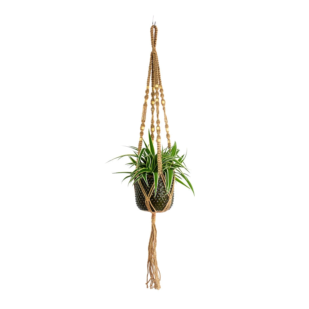 Plant Pot Macrame Hanger - Natural With Beads 4 Plant Pot Macrame Hanger - Natural With Beads - Image 3