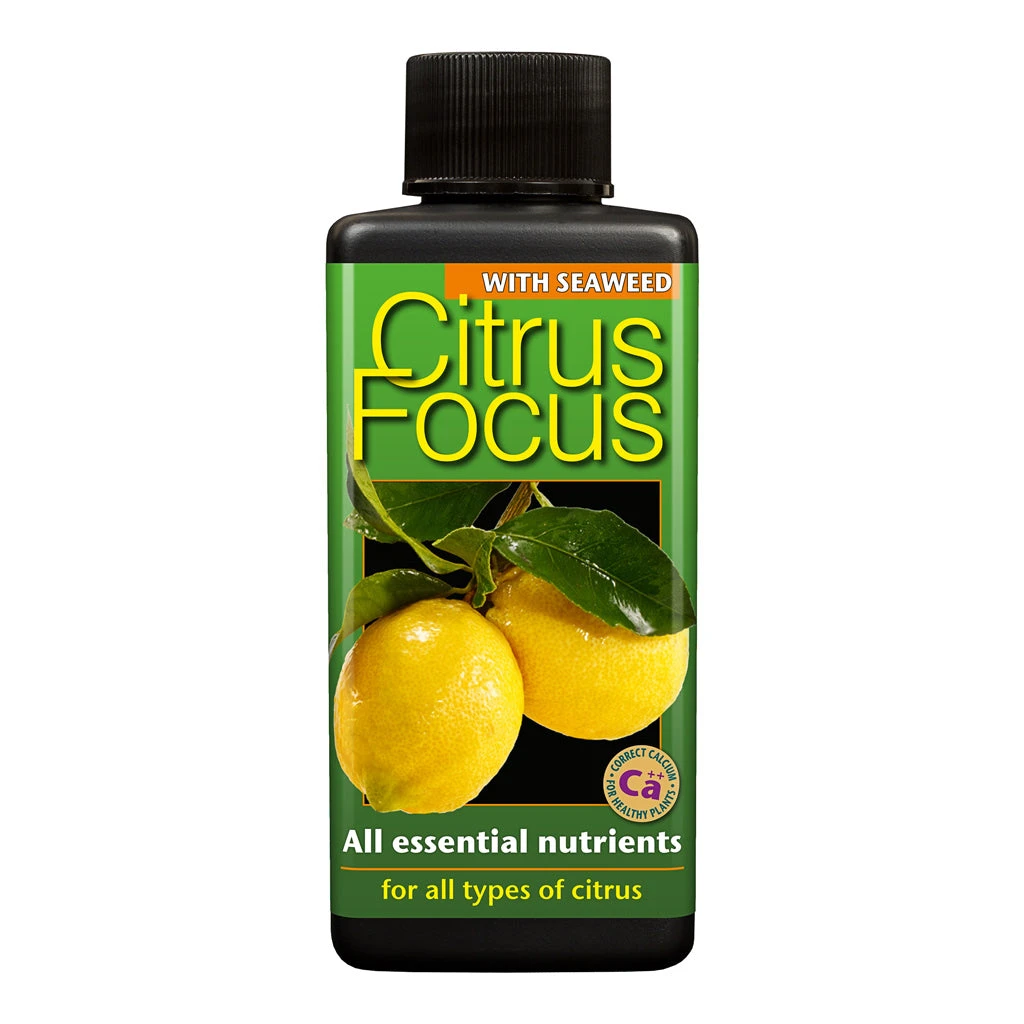 Citrus Focus - Plant Nutrition 3 Citrus Focus - Plant Nutrition
