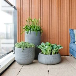 Cody Ridged Plant Pot - Dark Grey -Hortology Plants Shop Cody Eileen Planters Ridged Cement