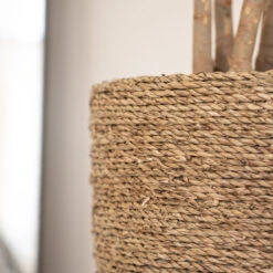 Cody Plant Pot - Straw Grass -Hortology Plants Shop Cody Plant Pot Straw Grass 3