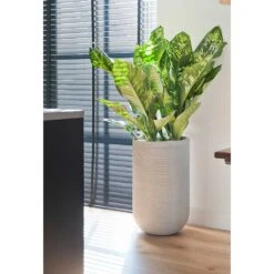 Cody Ridged Tall Planter - Cement 15 Cody Ridged Tall Planter - Cement -Hortology Plants Shop Cody Plant Vase Ridged Cement Dieffenbachia