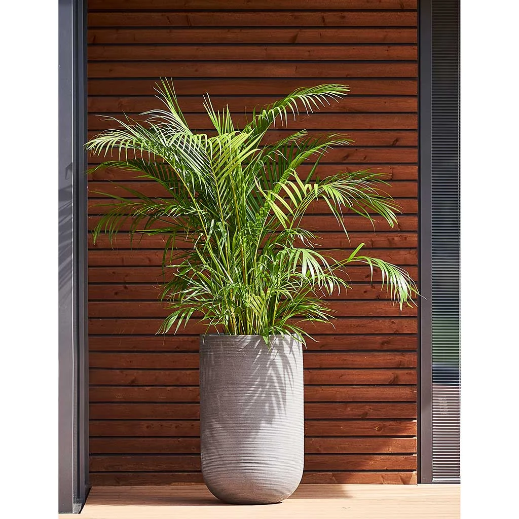 Cody Ridged Tall Planter - Cement 4 Cody Ridged Tall Planter - Cement - Image 2