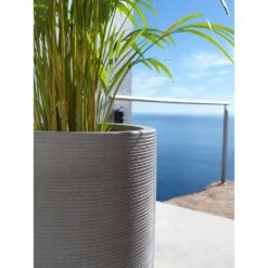 Cody Ridged Tall Planter - Dark Grey 39 Cody Ridged Tall Planter - Dark Grey -Hortology Plants Shop Cody Tall Planter Ridged Dark Grey Areca Palm