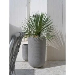 Cody Ridged Tall Planter - Dark Grey 35 Cody Ridged Tall Planter - Dark Grey -Hortology Plants Shop Cody Tall Planter Ridged Dark Outdoor Palm
