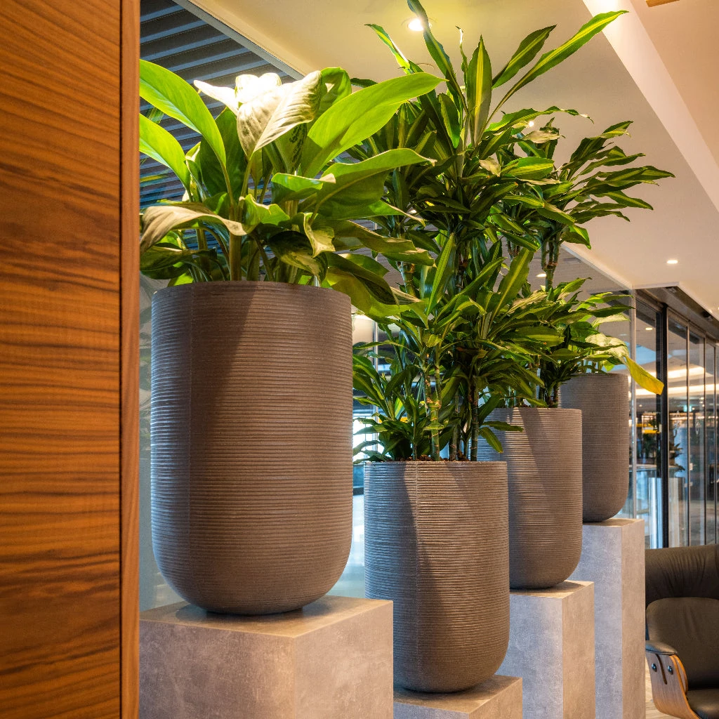 Cody Ridged Tall Planter - Dark Grey 4 Cody Ridged Tall Planter - Dark Grey - Image 2