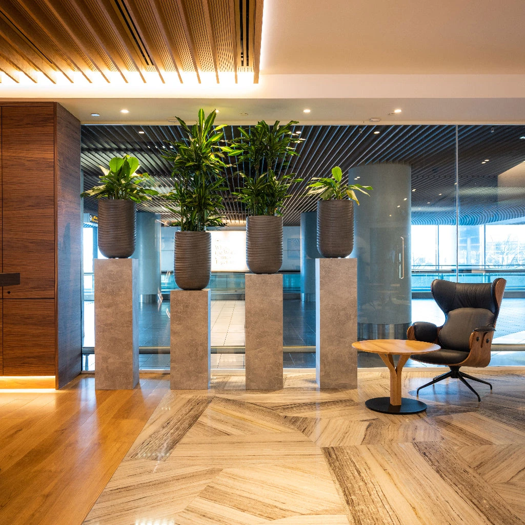 Cody Ridged Tall Planter - Dark Grey 7 Cody Ridged Tall Planter - Dark Grey - Image 5