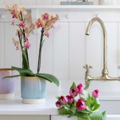 Copenhagen Plant Pot - Aqua 21 Copenhagen Plant Pot - Aqua -Hortology Plants Shop Copenhagen Plant Pot Aqua 15.5 x 16cm