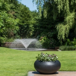 Cora Natural Bowl Planter - Black 14 Cora Natural Bowl Planter - Black -Hortology Plants Shop CoraNaturalBowlPlanter Black 2