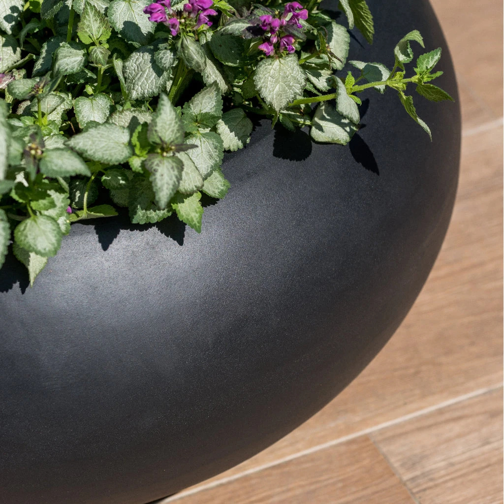 Cora Natural Bowl Planter - Black 5 Cora Natural Bowl Planter - Black - Image 3