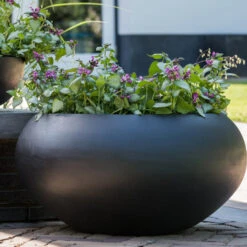 Cora Natural Bowl Planter - Black 13 Cora Natural Bowl Planter - Black -Hortology Plants Shop CoraNaturalBowlPlanter Black 5