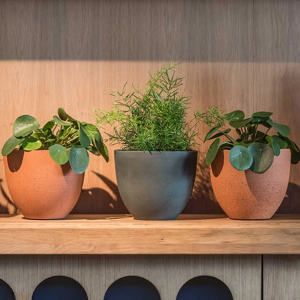 Coral Refined Planter - Pine Green 7 Coral Refined Planter - Pine Green - Image 5