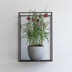 Coral Refined Planter - Clouded Grey -Hortology Plants Shop Coral Refined Planter Clouded Grey Lifestyle