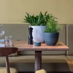 Coral Refined Planter - Pine Green 12 Coral Refined Planter - Pine Green -Hortology Plants Shop Coral Refined Planter Pine Green Natural White Houseplants 08543535 5541 428b 8ac7 bb7a385db61c