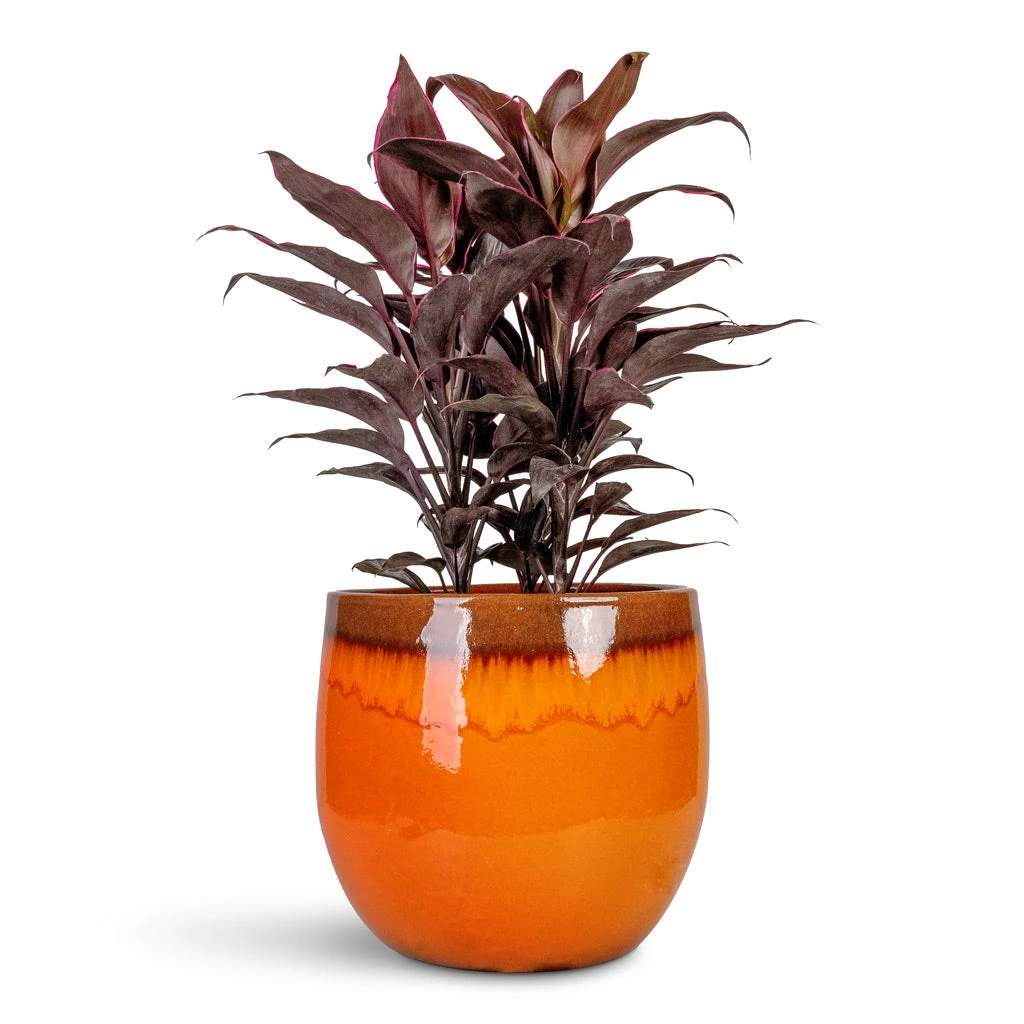 Charlotte Plant Pot - Orange 18 Charlotte Plant Pot - Orange - Image 16
